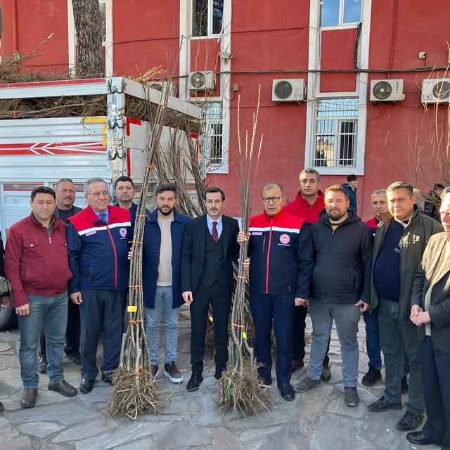 Aydın’da Yerel Tarıma Destek: Kestane Fidanları Üreticilere Dağıtıldı