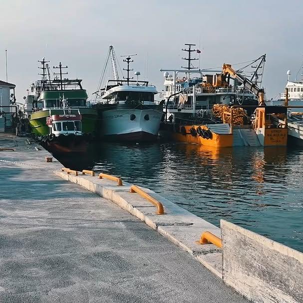 Karadeniz Ereğli Belediyesi'nin Bozhane Limanı'ndaki Yenileme Çalışmaları Tamamlandı