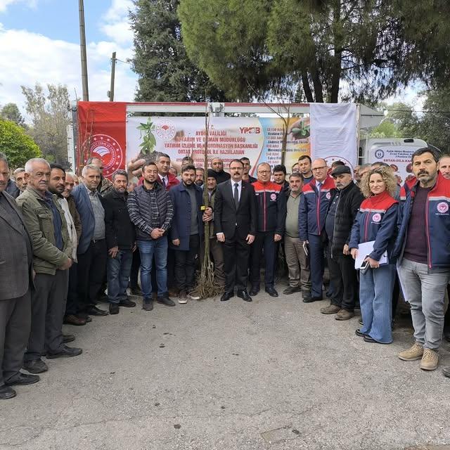 Aydın'da Üreticilere Kestane Fidanı Dağıtımı Yapıldı