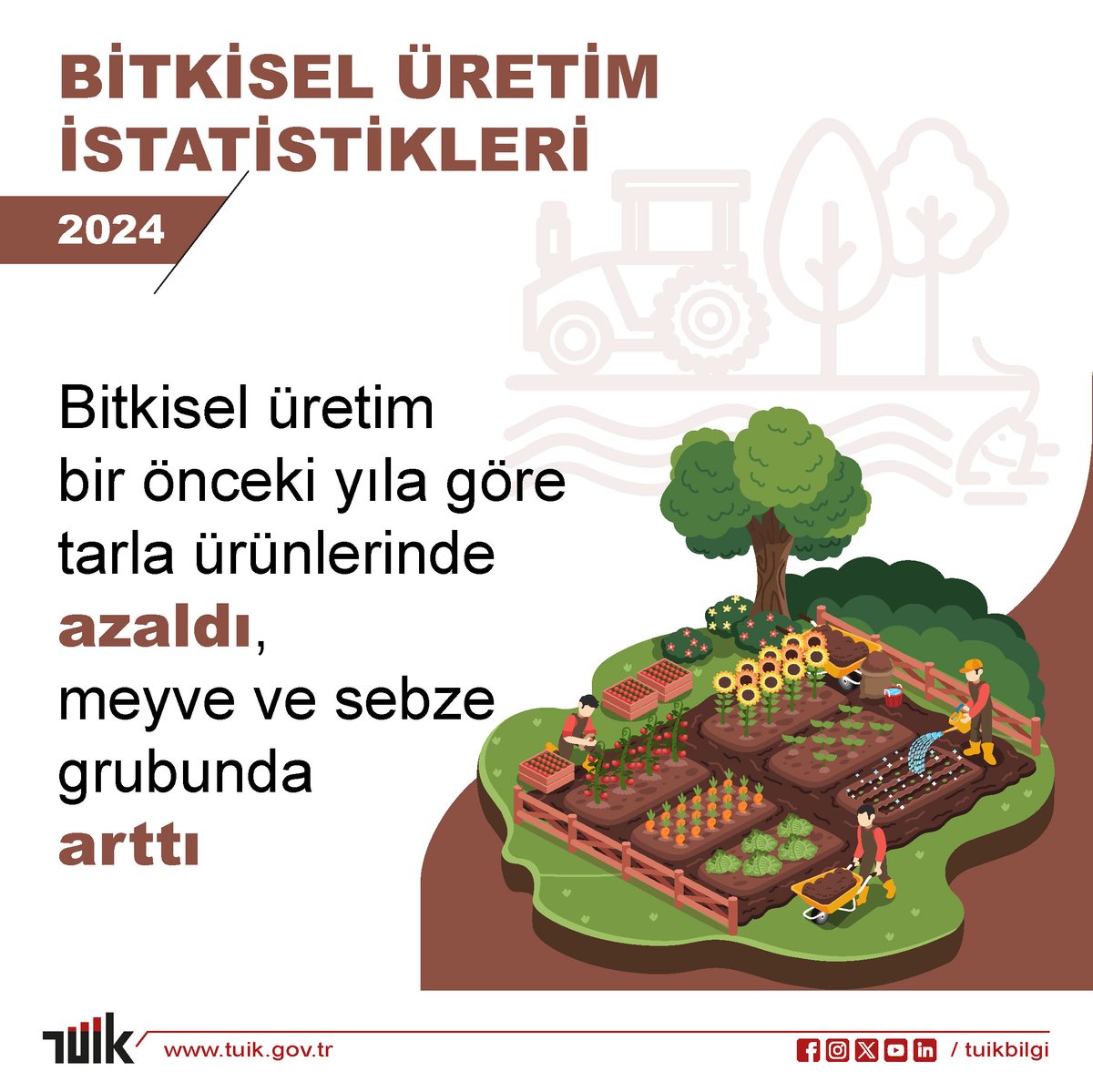 Türkiye İstatistik Kurumu, 2024 Bitkisel Üretim İstatistikleri Raporunu Açıkladı