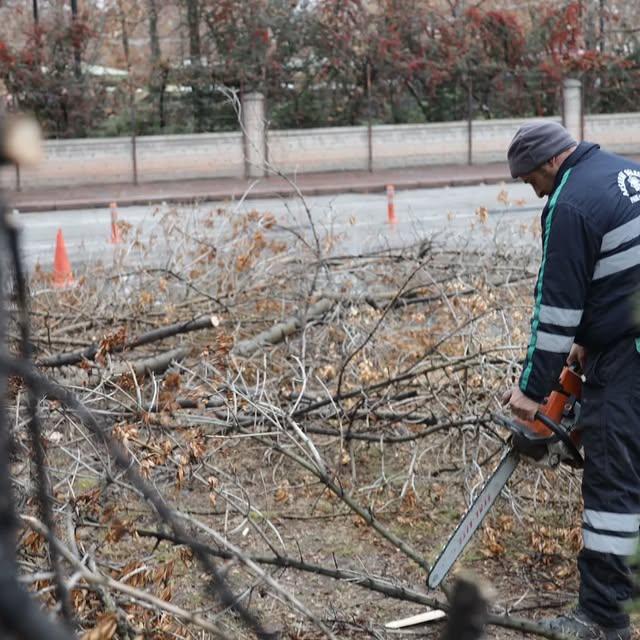 Aksaray'da Ağaç Budama ve Temizlik Çalışmaları Devam Ediyor