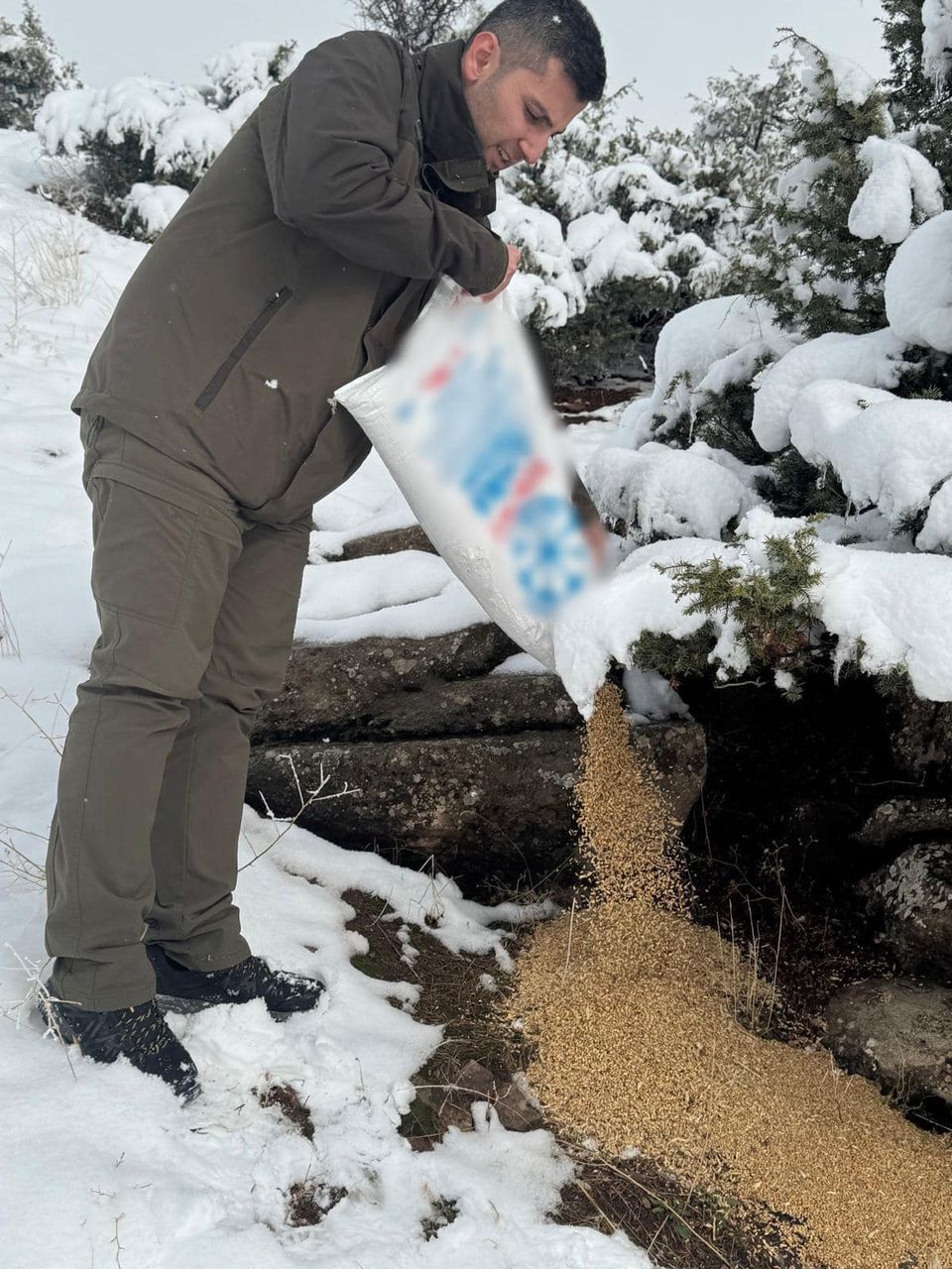 Kış Aylarında Yaban Hayvanlarına Yardım