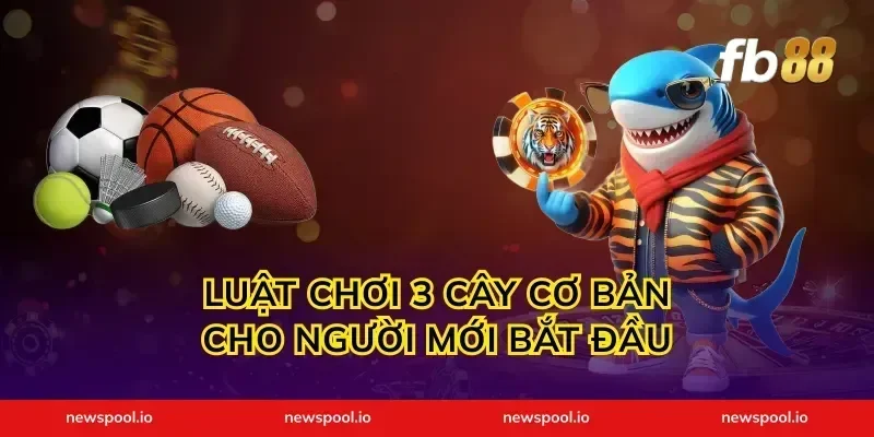 Luật chơi 3 cây cơ bản cho người mới bắt đầu
