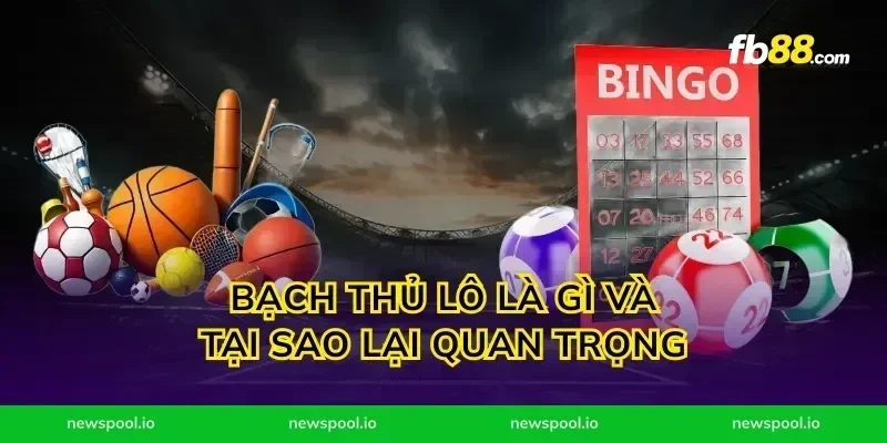 Bạch thủ lô là gì và tại sao lại quan trọng