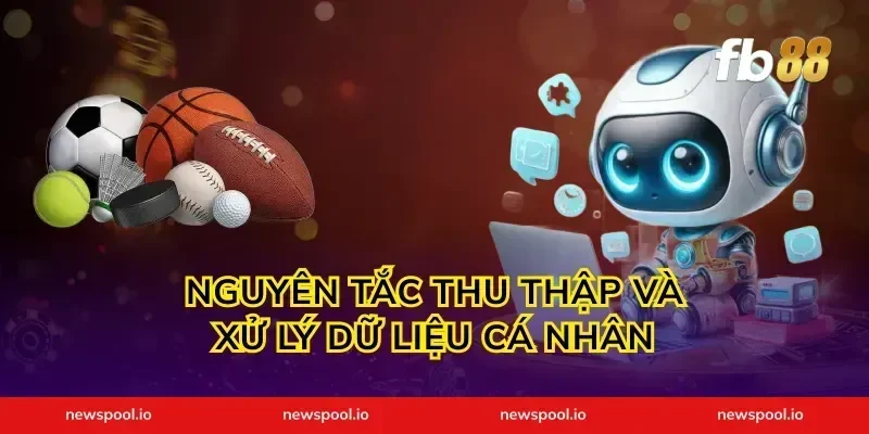 Nguyên Tắc Thu Thập Và Xử Lý Dữ Liệu Cá Nhân