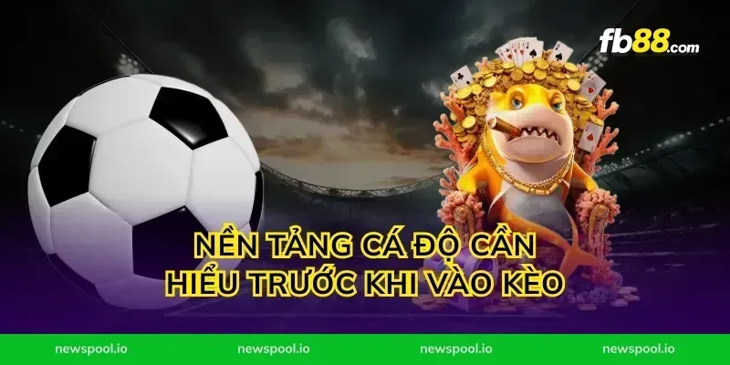 Nền tảng cá độ cần hiểu trước khi vào kèo