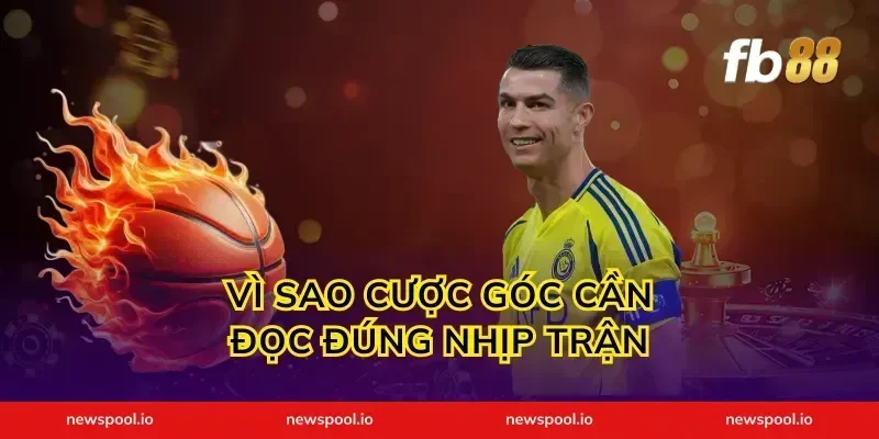 Vì sao cược góc cần đọc đúng nhịp trận