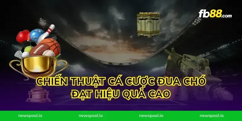Chiến thuật cá cược đua chó đạt hiệu quả cao