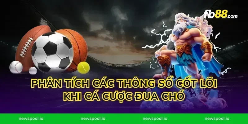 Phân tích các thông số cốt lõi khi cá cược đua chó