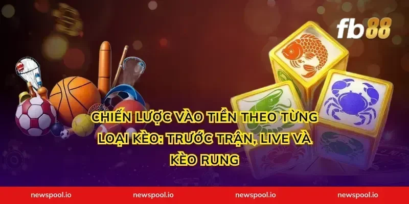 Chiến lược vào tiền theo từng loại kèo: trước trận, live và kèo rung