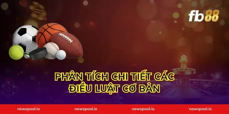 Phân tích chi tiết các điều luật cơ bản