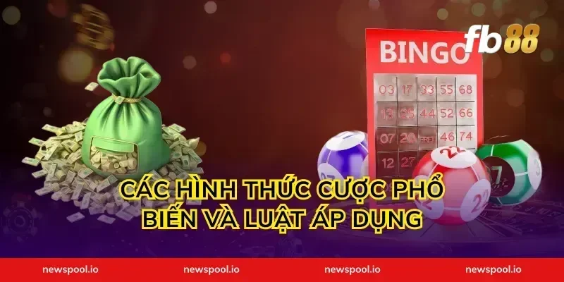 Các hình thức cược phổ biến và luật áp dụng