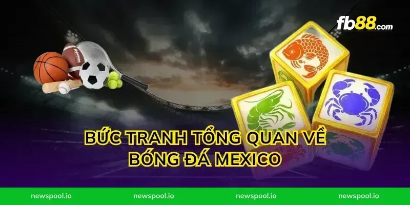 Bức Tranh Tổng Quan Về Bóng Đá Mexico