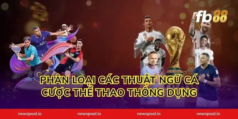 Phân loại các thuật ngữ cá cược thể thao thông dụng