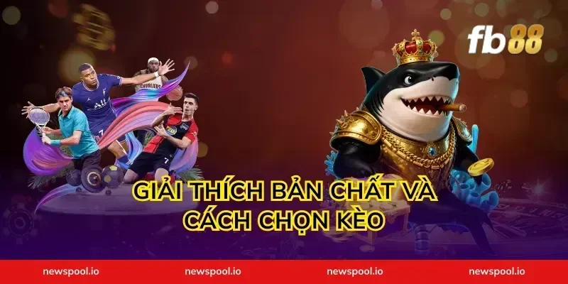 Giải thích bản chất và cách chọn kèo